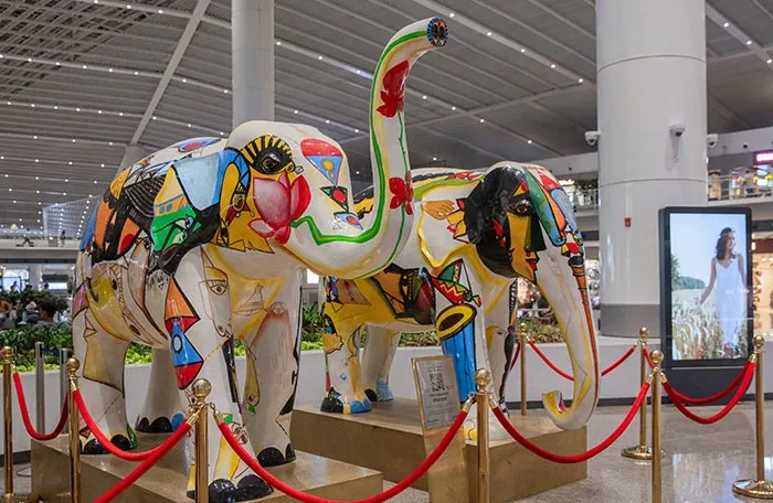 delhi-airport