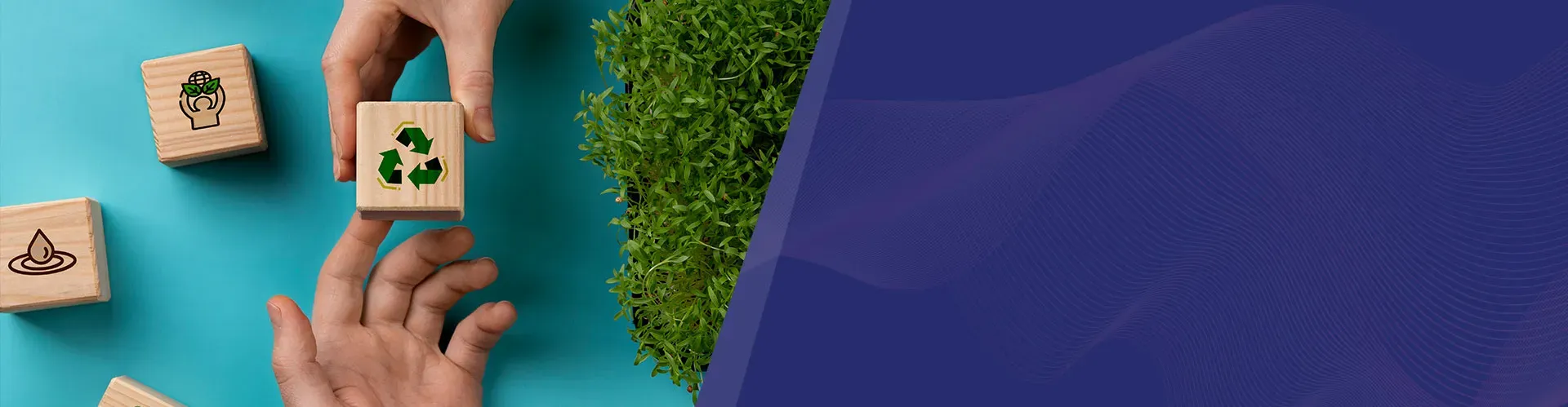 Circular Economy