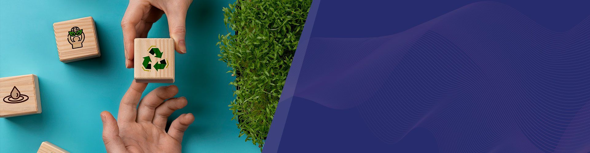 Circular Economy
