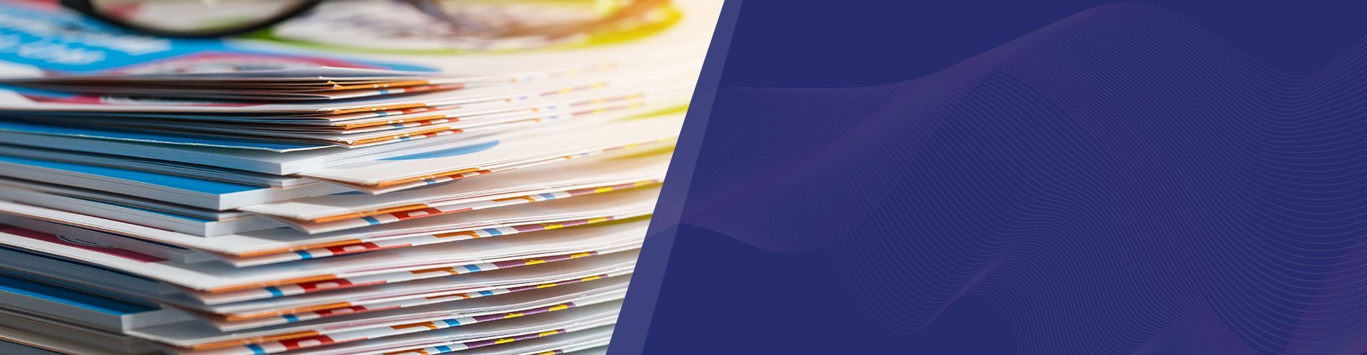 Sustainability Stories and Reports